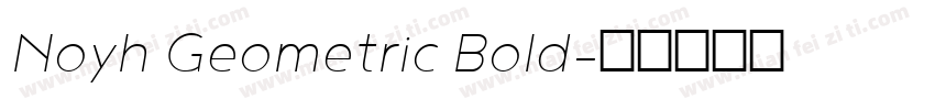 Noyh Geometric Bold字体转换